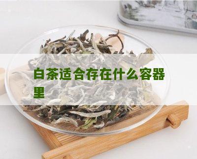 白茶适合存在什么容器里