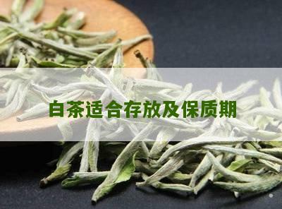 白茶适合存放及保质期