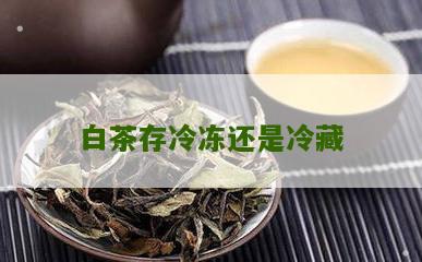 白茶存冷冻还是冷藏