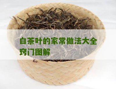 白茶叶的家常做法大全窍门图解