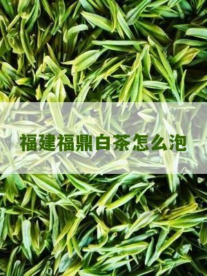 福建福鼎白茶怎么泡