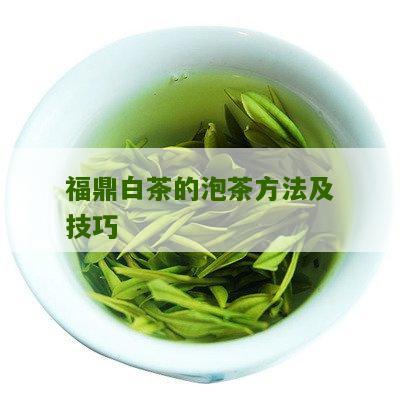 福鼎白茶的泡茶方法及技巧