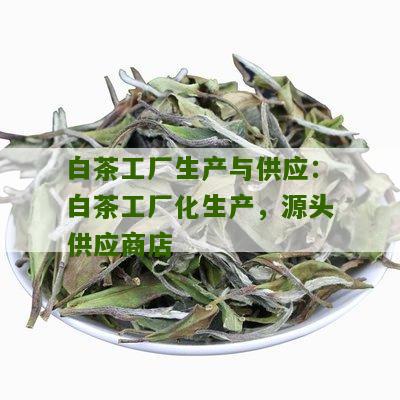 白茶工厂生产与供应：白茶工厂化生产，源头供应商店