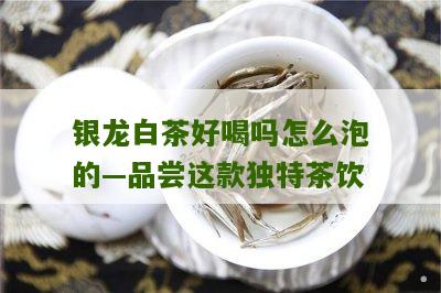 银龙白茶好喝吗怎么泡的—品尝这款独特茶饮