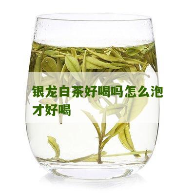 银龙白茶好喝吗怎么泡才好喝