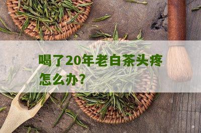 喝了20年老白茶头疼怎么办？