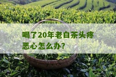 喝了20年老白茶头疼恶心怎么办？