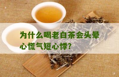 为什么喝老白茶会头晕心慌气短心悸？