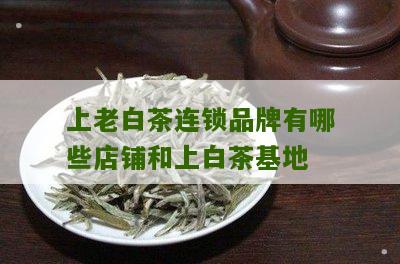 上老白茶连锁品牌有哪些店铺和上白茶基地