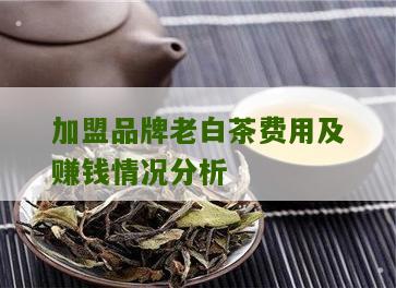 加盟品牌老白茶费用及赚钱情况分析