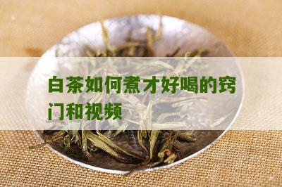 白茶如何煮才好喝的窍门和视频