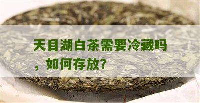 天目湖白茶需要冷藏吗，如何存放？