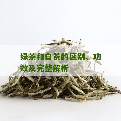 绿茶和白茶的区别、功效及完整解析