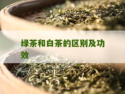 绿茶和白茶的区别及功效