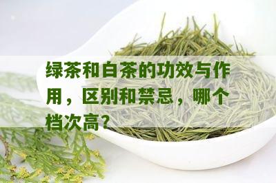 绿茶和白茶的功效与作用，区别和禁忌，哪个档次高？