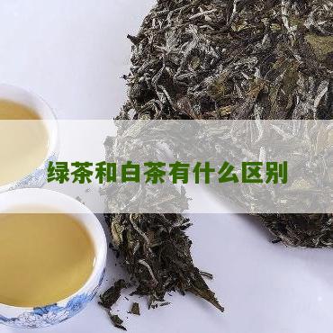 绿茶和白茶有什么区别