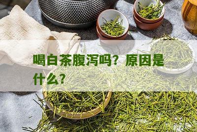 喝白茶腹泻吗？原因是什么？