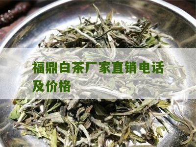 福鼎白茶厂家直销电话及价格