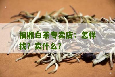 福鼎白茶专卖店：怎样找？卖什么？