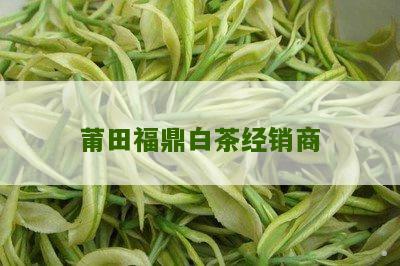 莆田福鼎白茶经销商