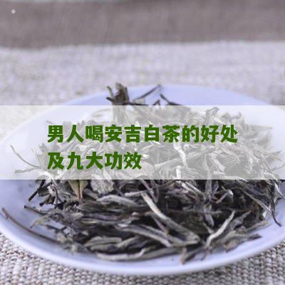 男人喝安吉白茶的好处及九大功效