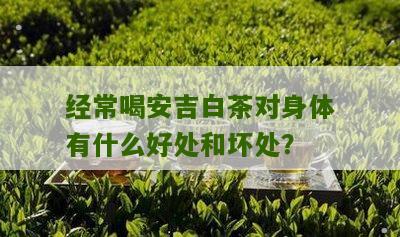 经常喝安吉白茶对身体有什么好处和坏处？