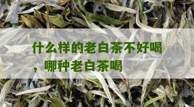 什么样的老白茶不好喝，哪种老白茶喝