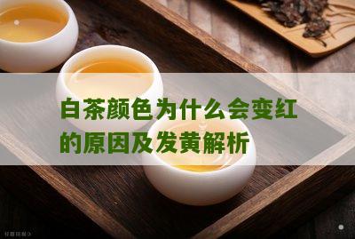 白茶颜色为什么会变红的原因及发黄解析