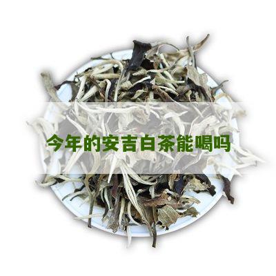 今年的安吉白茶能喝吗