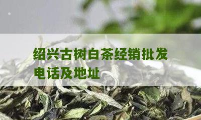 绍兴古树白茶经销批发电话及地址