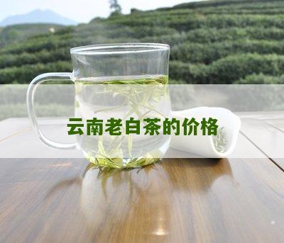 云南老白茶的价格