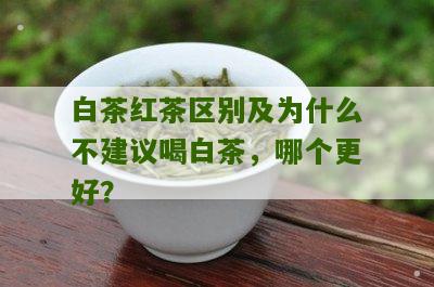 白茶红茶区别及为什么不建议喝白茶，哪个更好？