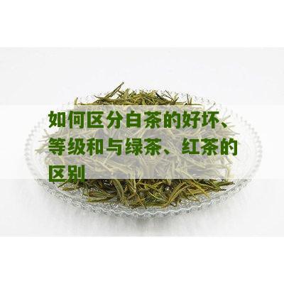 如何区分白茶的好坏、等级和与绿茶、红茶的区别