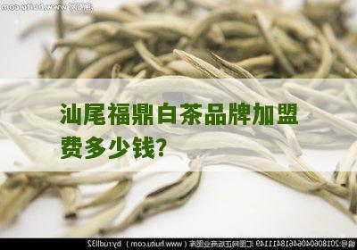 汕尾福鼎白茶品牌加盟费多少钱？