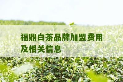 福鼎白茶品牌加盟费用及相关信息