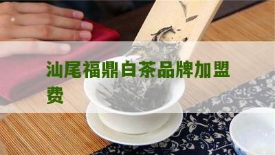 汕尾福鼎白茶品牌加盟费