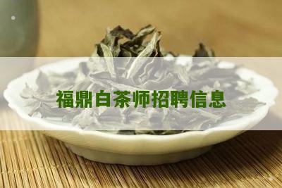 福鼎白茶师招聘信息