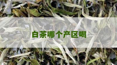 白茶哪个产区喝