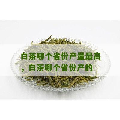 白茶哪个省份产量最高，白茶哪个省份产的