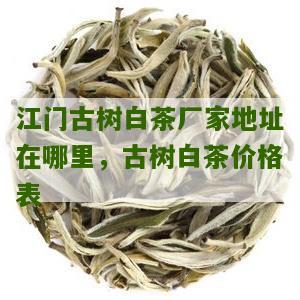 江门古树白茶厂家地址在哪里，古树白茶价格表