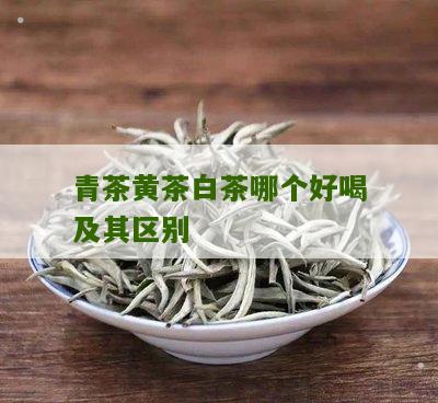 青茶黄茶白茶哪个好喝及其区别