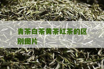 青茶白茶黄茶红茶的区别图片