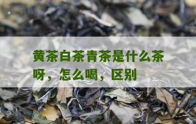 黄茶白茶青茶是什么茶呀，怎么喝，区别