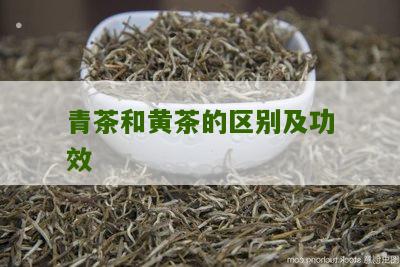 青茶和黄茶的区别及功效