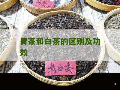 青茶和白茶的区别及功效