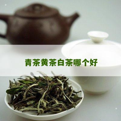 青茶黄茶白茶哪个好