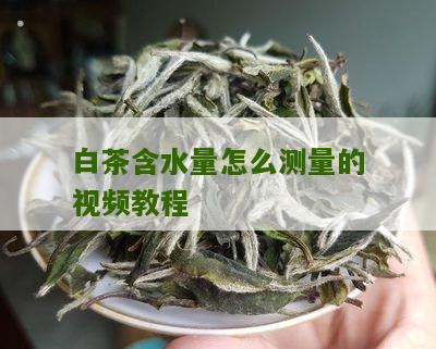 白茶含水量怎么测量的视频教程