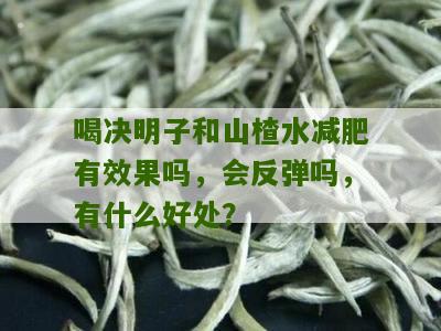 喝决明子和山楂水减肥有效果吗，会反弹吗，有什么好处？