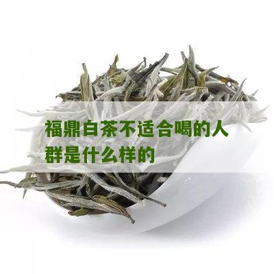 福鼎白茶不适合喝的人群是什么样的