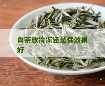 白茶放冷冻还是保效果好